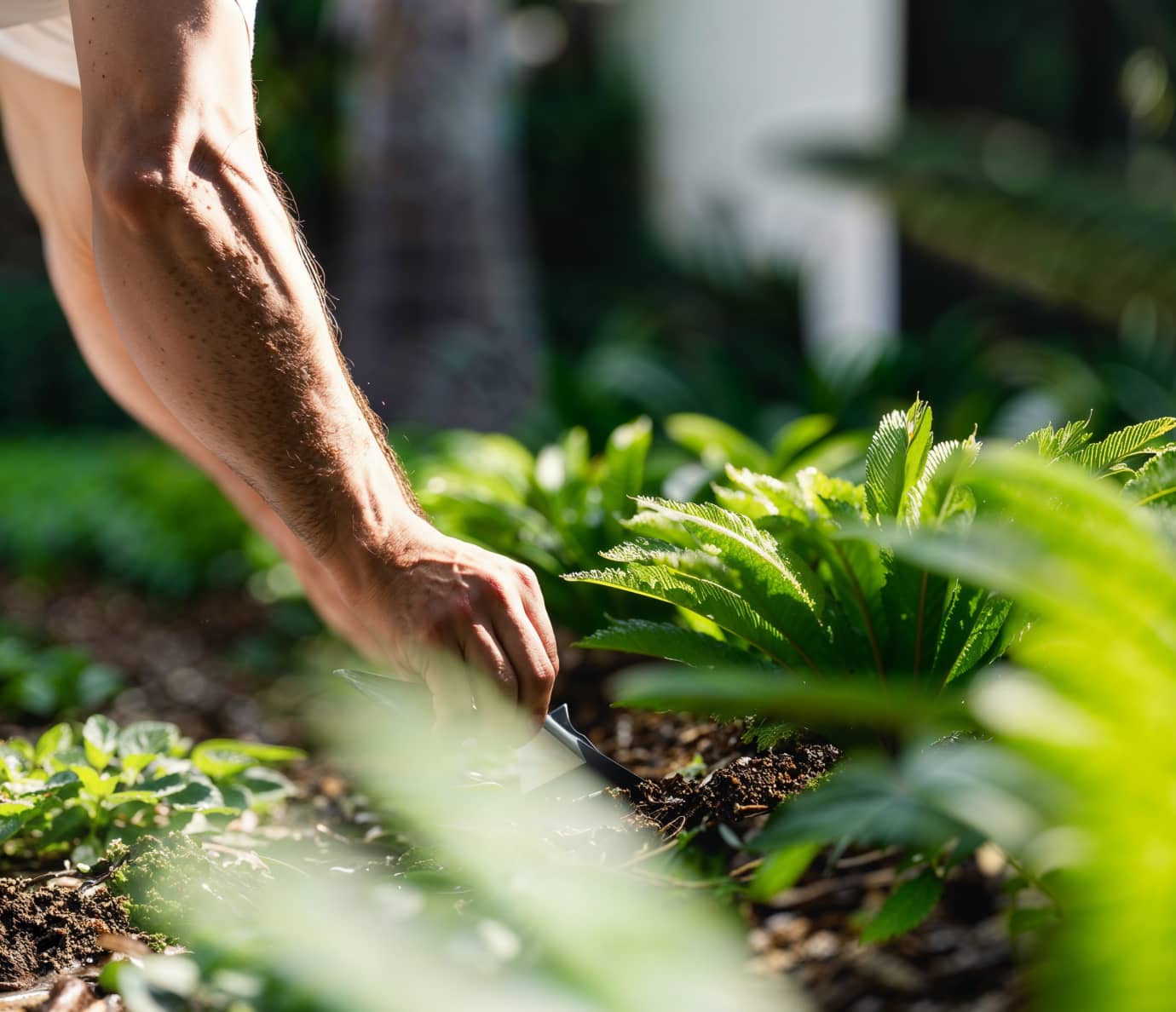 Massifs et chemin de pierre dans un jardin privé