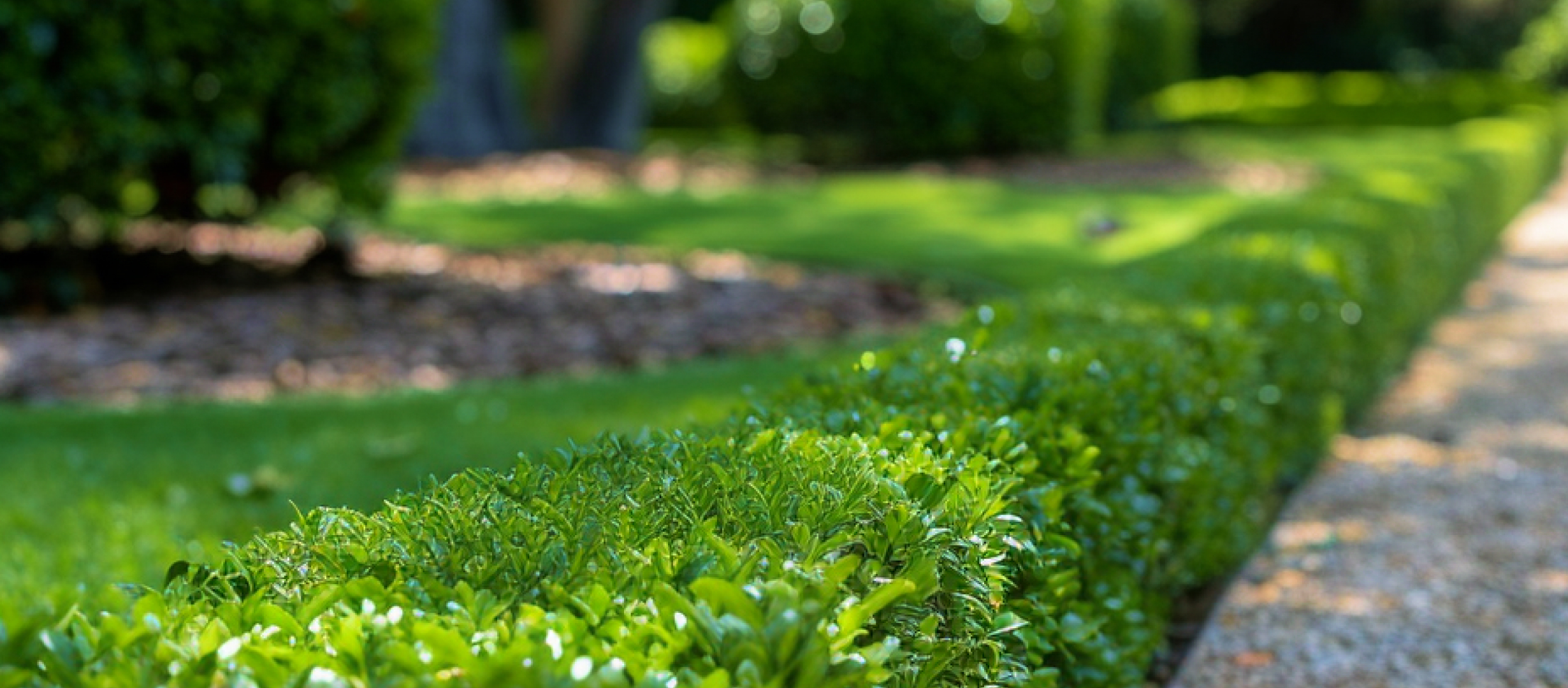 Entretien de jardins